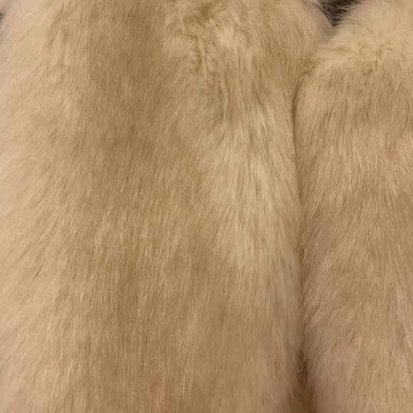 BCBG Fur Vest - Picture 2 of 8